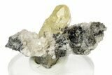 Yellow Calcite Crystal on Dolomite - Missouri #252126-1